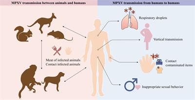 Global transmission of monkeypox virus—a potential threat under the COVID-19 pandemic